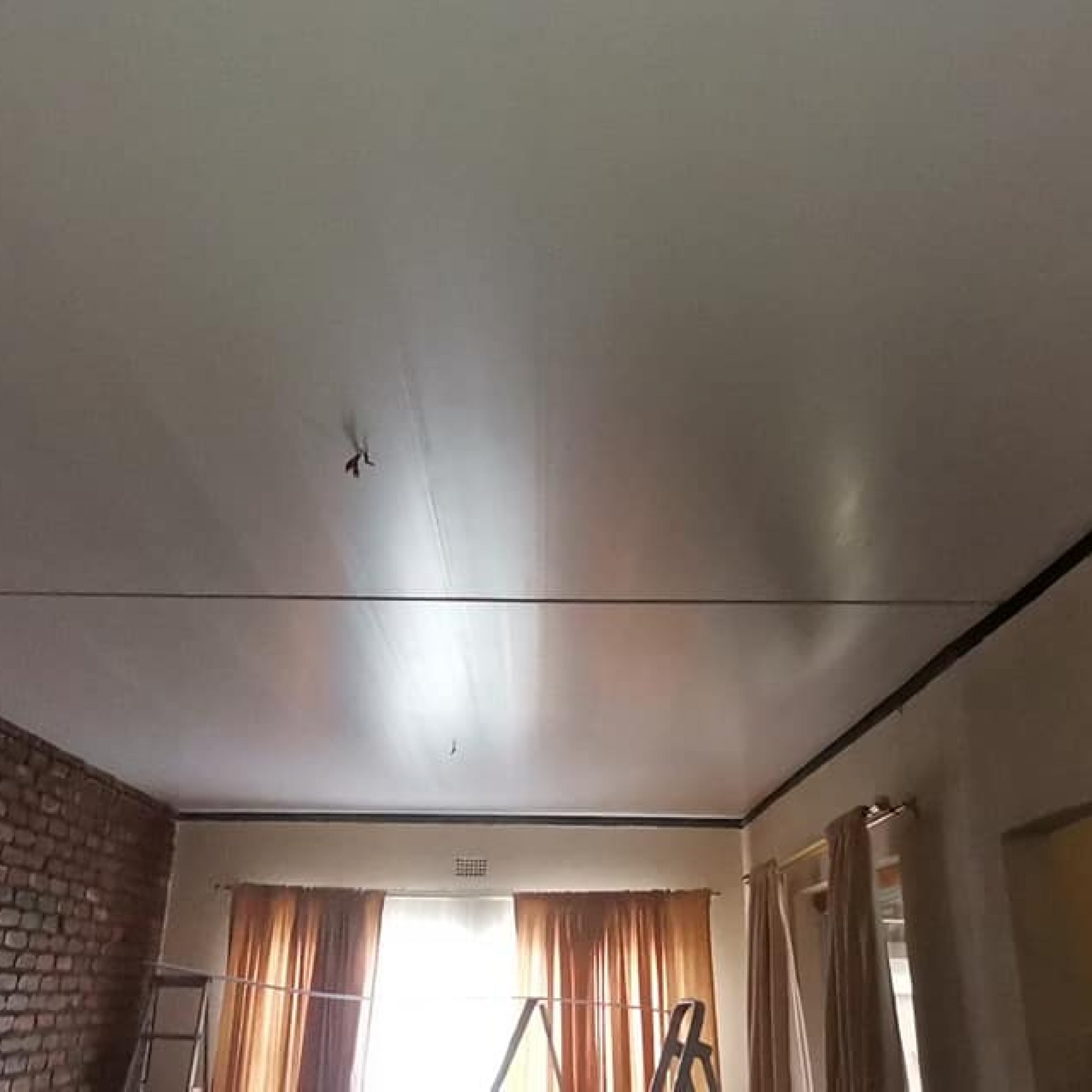 ceiling-finished
